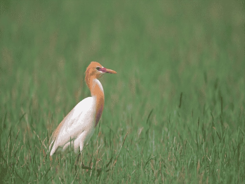 试管流产需要刮宫吗（试管 诊刮 同房）