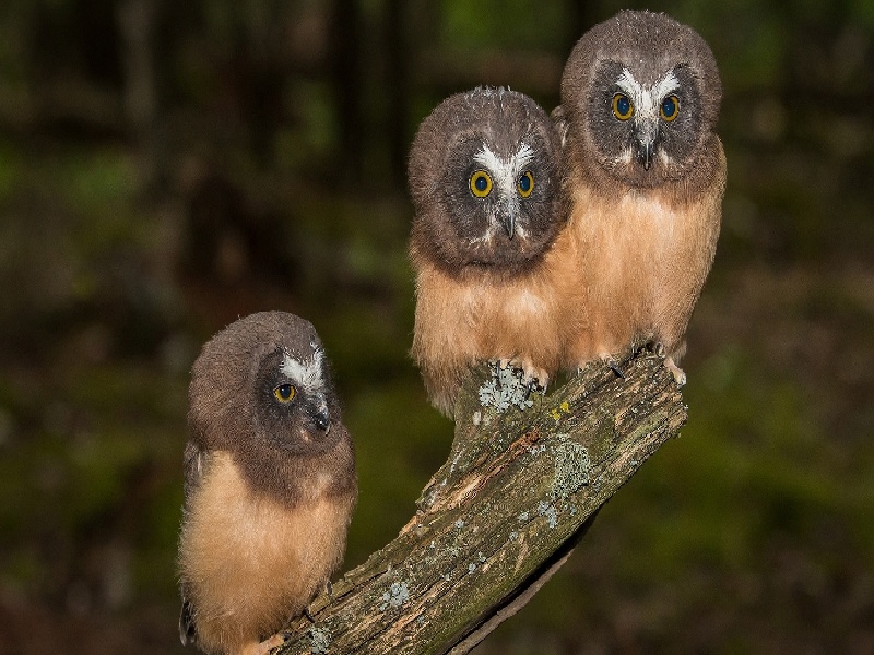 女不孕检查费用多少钱（杭州邵逸夫试管分享）